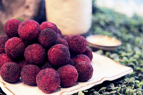 004kL8lBgy6JKtirhYz97 004kL8lBgy6JKtirhYz97